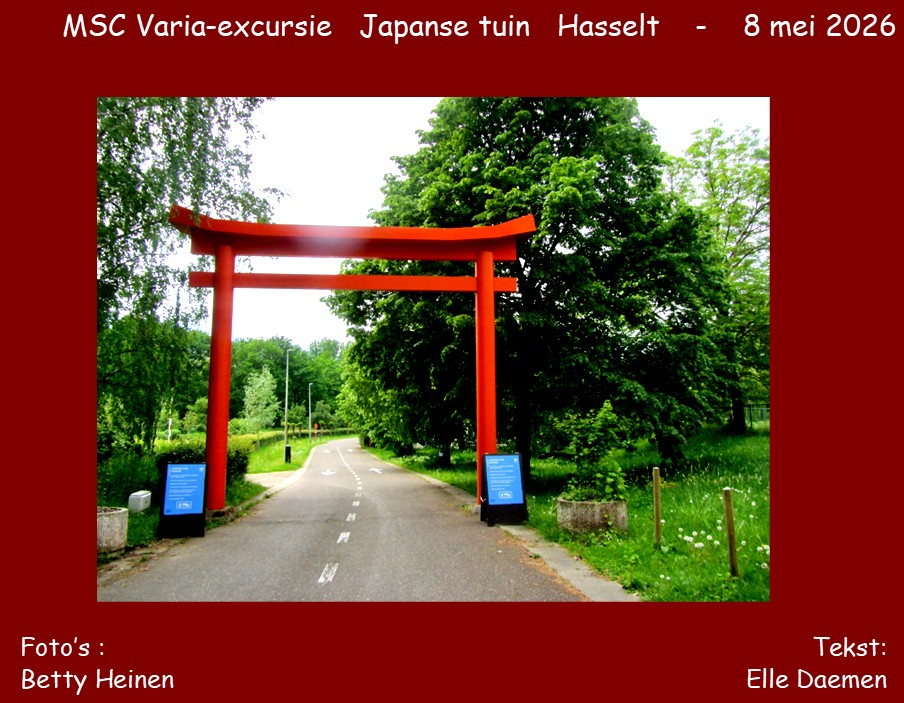 hasselt01.jpg