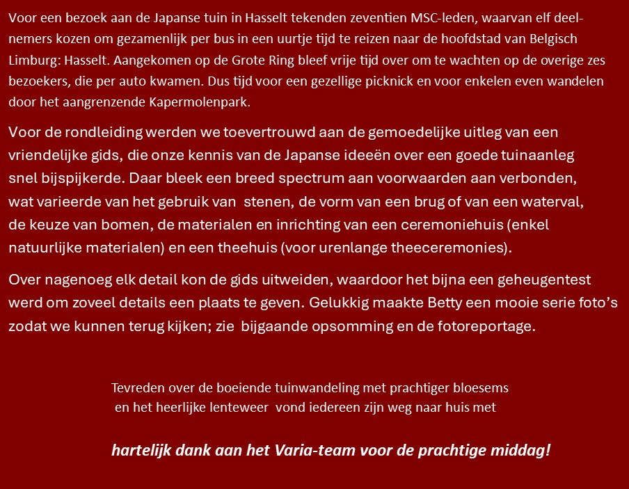 hasselt02.jpg