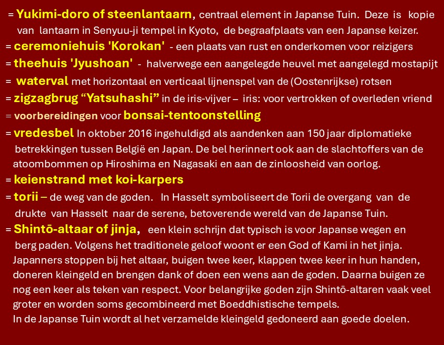 hasselt03.jpg