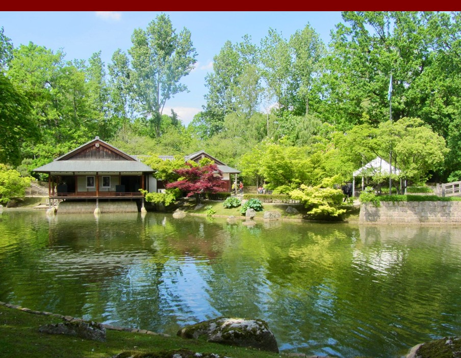 hasselt21.jpg