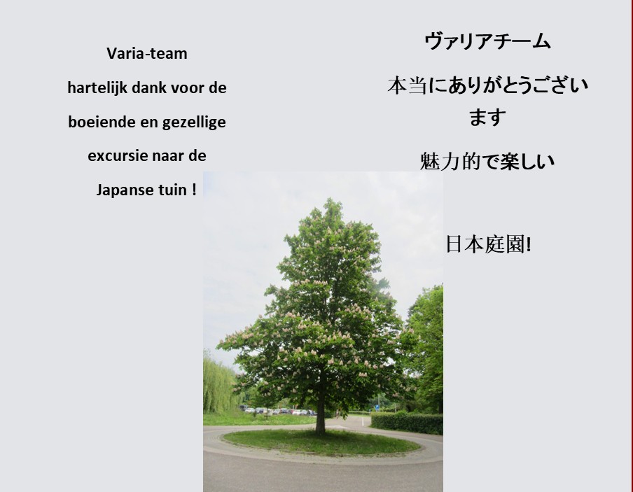 hasselt42.jpg