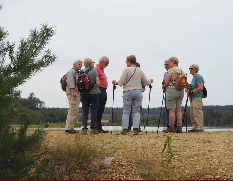 mechelseheide07.jpg