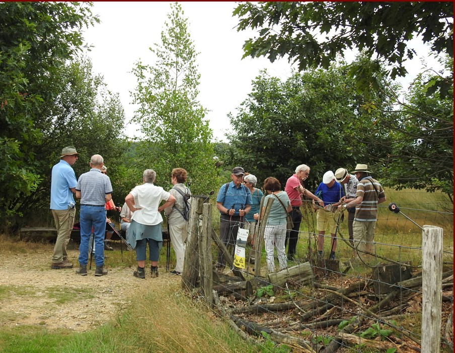 mechelseheide13.jpg