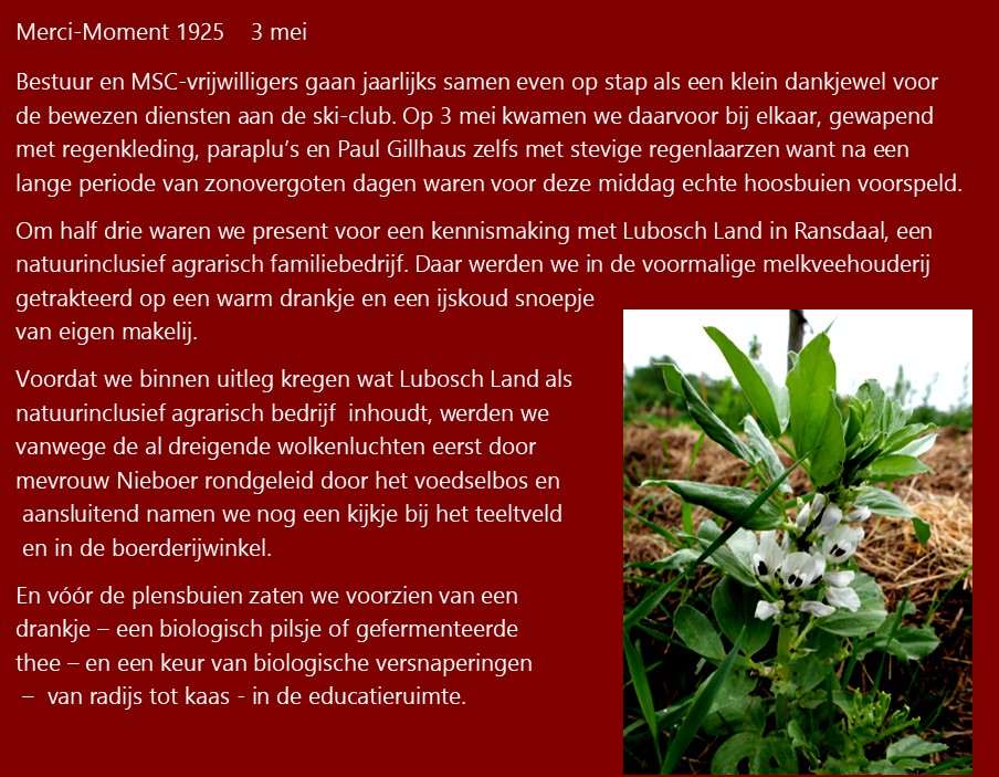 mercimoment02.jpg
