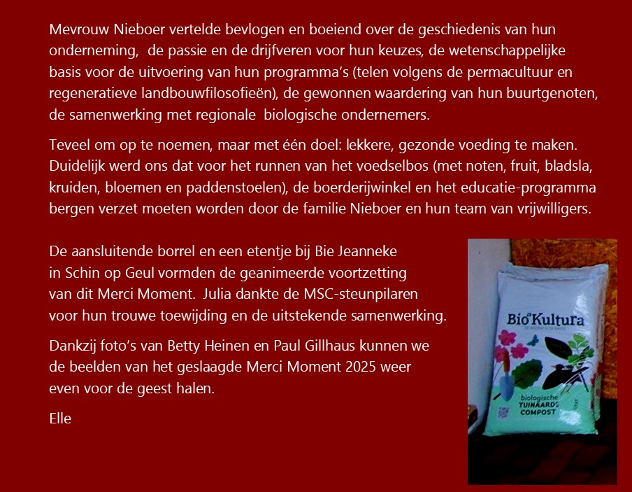 mercimoment03.jpg
