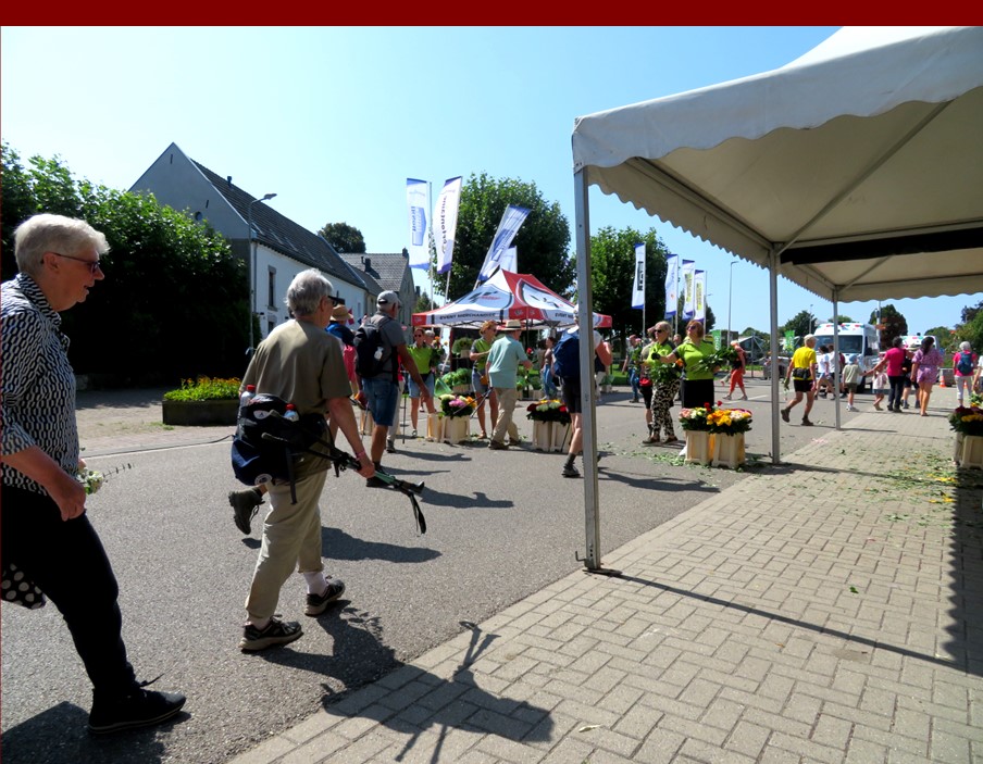 vierdaagse08.jpg
