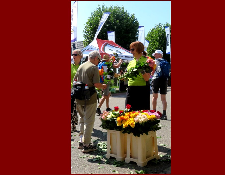 vierdaagse09.jpg