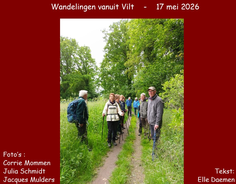 vilt01.jpg