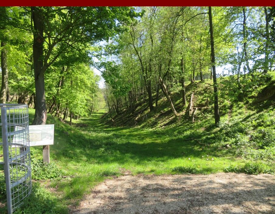 vilt06.jpg