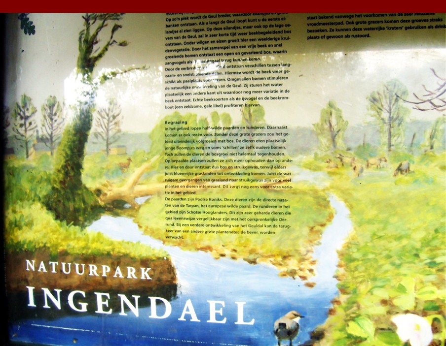 vilt09.jpg