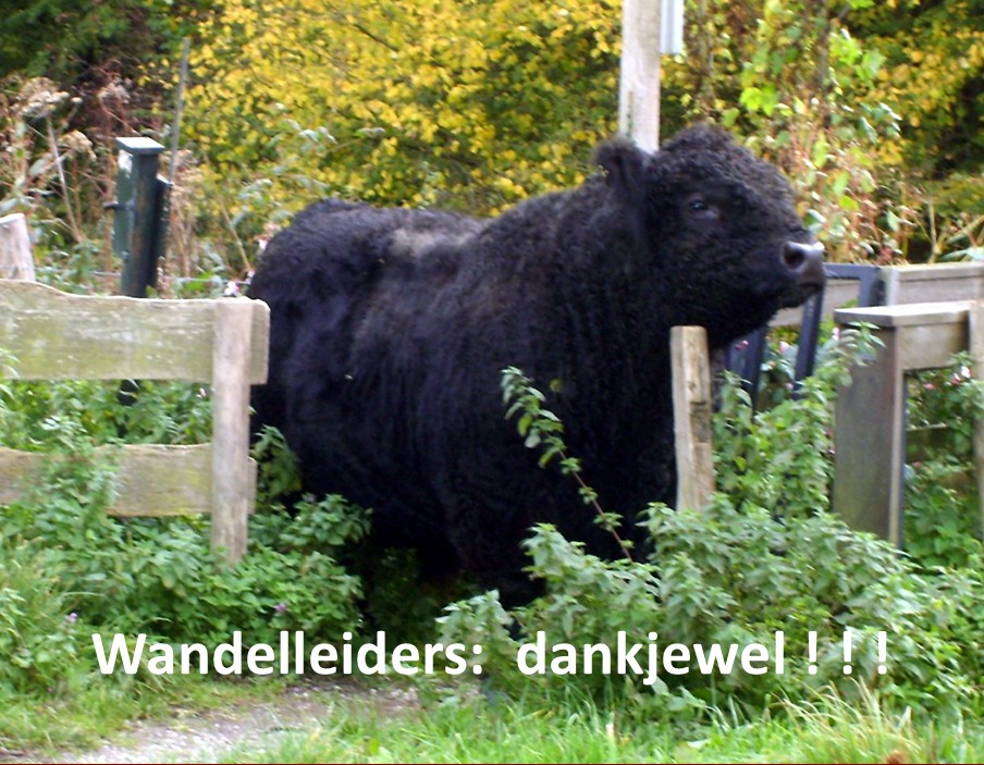 vilt18.jpg