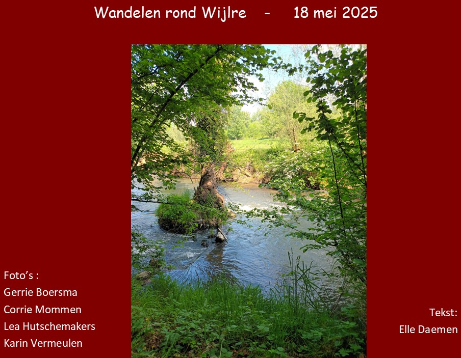 wijlre01.jpg