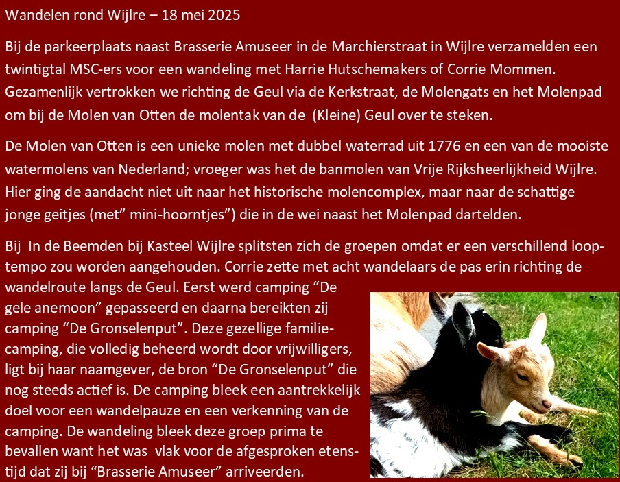 wijlre02.jpg