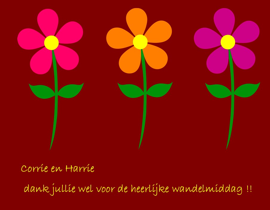 wijlre40.jpg